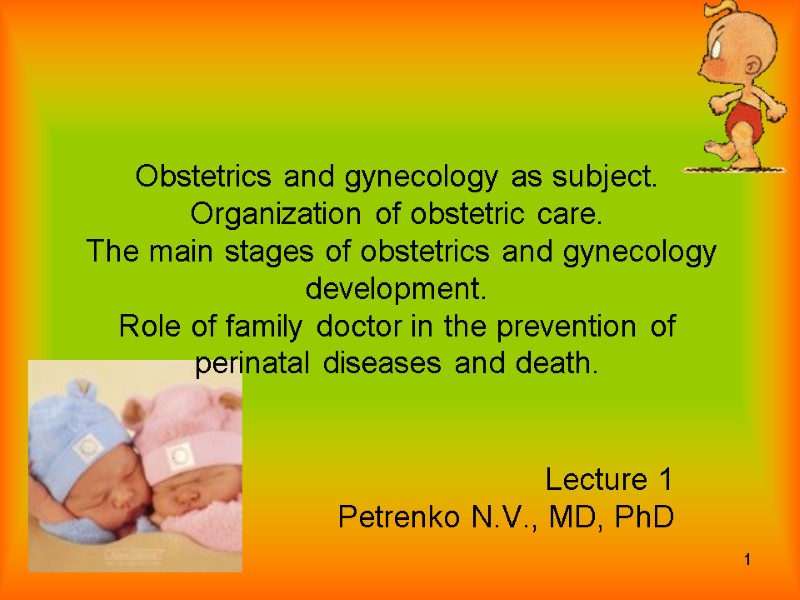 1 Obstetrics and gynecology as subject.  Organization of obstetric care.  The main